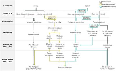 Mismatch Between Risk and Response May Amplify Lethal and Non-lethal Effects of Humans on Wild Animal Populations